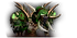 Ui-ej-boss-high-priest-venoxis