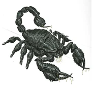 Radscorpionconcept1