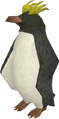Noodle.png