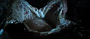 Alienegginside