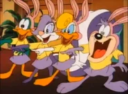 TheBabsBunnyBunch