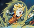 DBZ2 large
