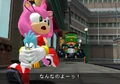 AmyRoseFlickyZero
