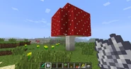 Giant Red Mushroom