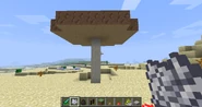 Giant Brown Mushroom