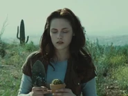 T- Leaving Phoenix
