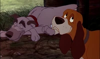 Fox1-disneyscreencaps com-9356