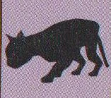Blackcat.jpg