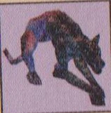 HOTA.jpg (17 KB)