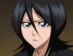 Ep320 Rukia Mugshot