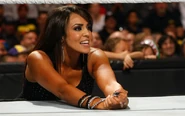 Raw 11-1-10 10