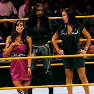 NXT 11-2-10 8