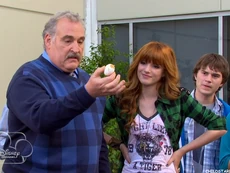 Egg It Up