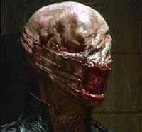 Chatterer (1).jpg (6 KB) Chatterer (1)