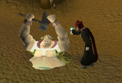 Shaman die