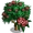 Red Plumeria Tree-icon