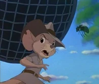 Jake the Kangaroo Rat
