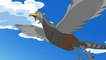 EP730 Unfezant de Ash