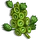 Bells of Ireland-icon