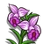 Bamboo Orchid-icon
