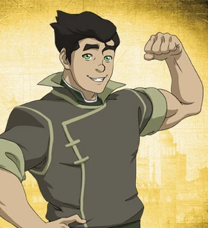 Bolin profiel2