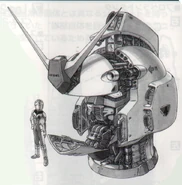 NT-head