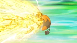 Elesa Zebstrika Wild Charge