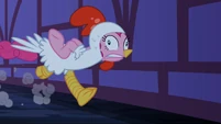 Pinkie Pie running as a chicken S02E04