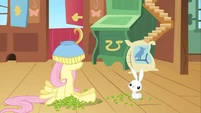 Fluttershy bowl2 S02E19