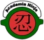 Logo Academia Ninja