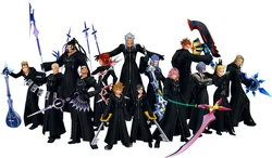 Organización XIII