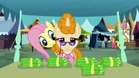 Fluttershy "Excuse me" S2E19