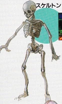 05skeleton