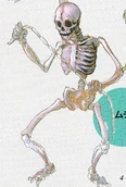 06whipskeleton