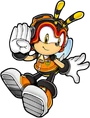 Sonicchannel charmy