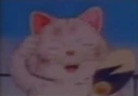 ShinSCHEnd5