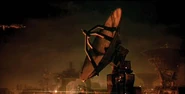 Fiorina161satellite
