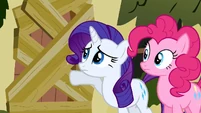 Rarity & Pinkie Pie knocking S2E19