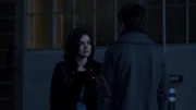 PLL223 (14)
