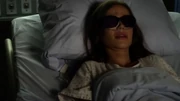 PLL223 (22)