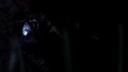 PLL223 (27)