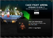 CageFightArenaLevel11