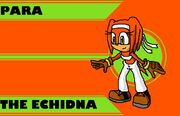 Para the Echidna