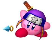 Ninja Kirby