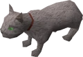 The Beast.png