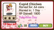 Cupid Chicken Market Info