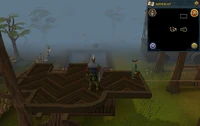 Emote clue Cry Gnome Agility course