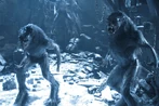 2Lycans
