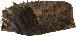 Bear Pelt