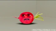 AO radish